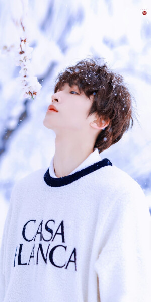 刘宇·雪日里的可爱精灵

©Sweet猫饼