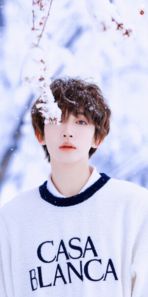 刘宇·雪日里的可爱精灵

©Sweet猫饼