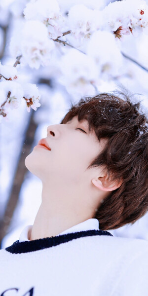 刘宇·雪日里的可爱精灵

©Sweet猫饼