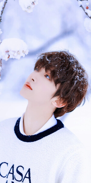 刘宇·雪日里的可爱精灵

©Sweet猫饼