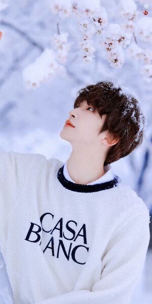 刘宇·雪日里的可爱精灵

©Sweet猫饼