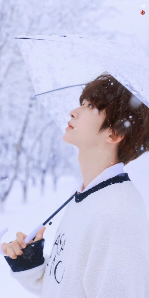 刘宇·雪日里的可爱精灵

©Sweet猫饼