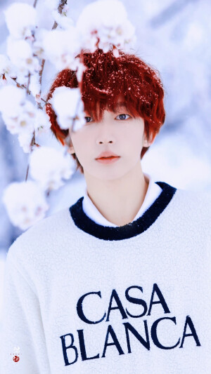 刘宇·雪日里的可爱精灵

©Sweet猫饼