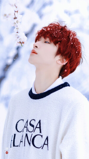 刘宇·雪日里的可爱精灵

©Sweet猫饼