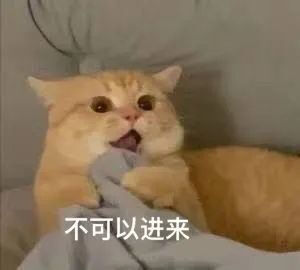 猫猫表情包，侵删