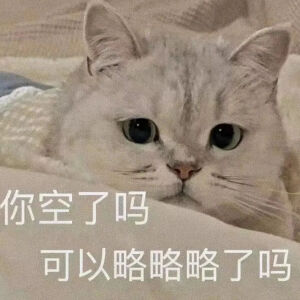 猫猫表情包，侵删