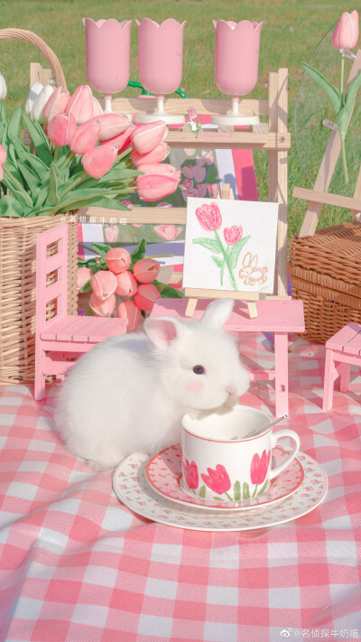 “郁金香物語会”
一组可爱又很治愈的春日兔兔壁纸来啦
cr.名侦探牛奶喵
