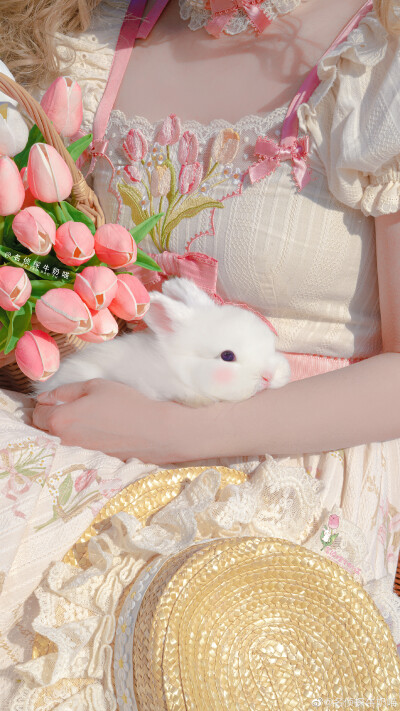 “郁金香物語会”
一组可爱又很治愈的春日兔兔壁纸来啦
cr.名侦探牛奶喵
