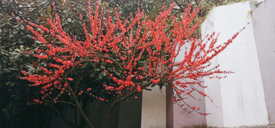 生活也懂浪漫