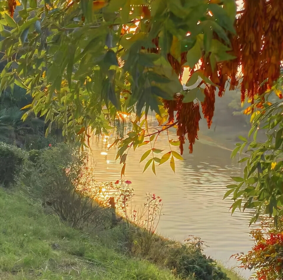 氛围感背景图 夕阳风景