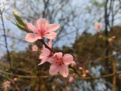 近日随拍