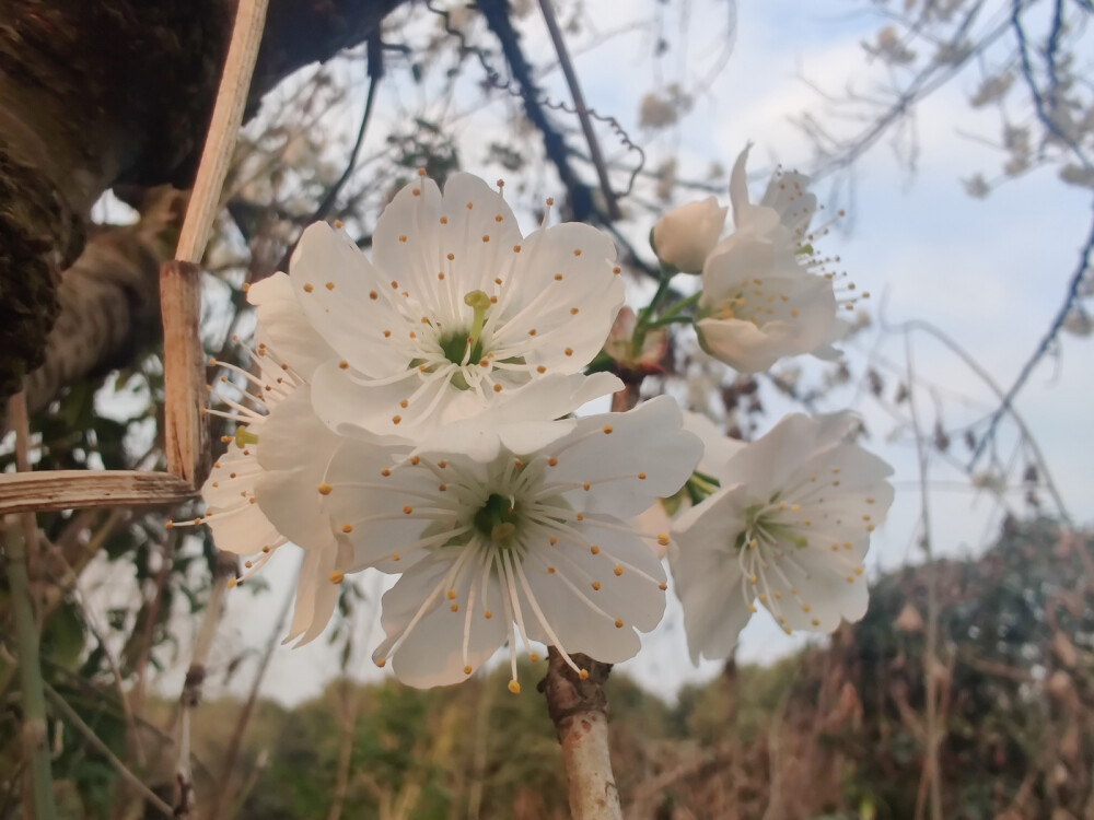 近日隨拍