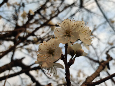 近日随拍