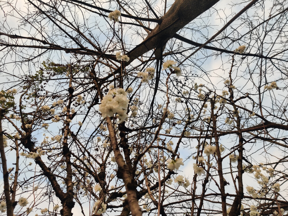 近日随拍