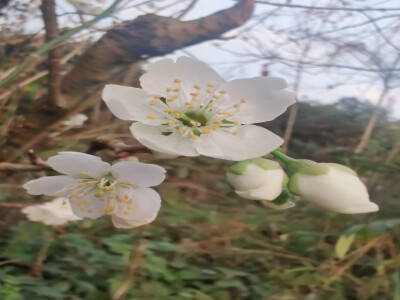 近日随拍