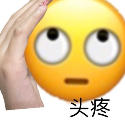 小黄豆表情包