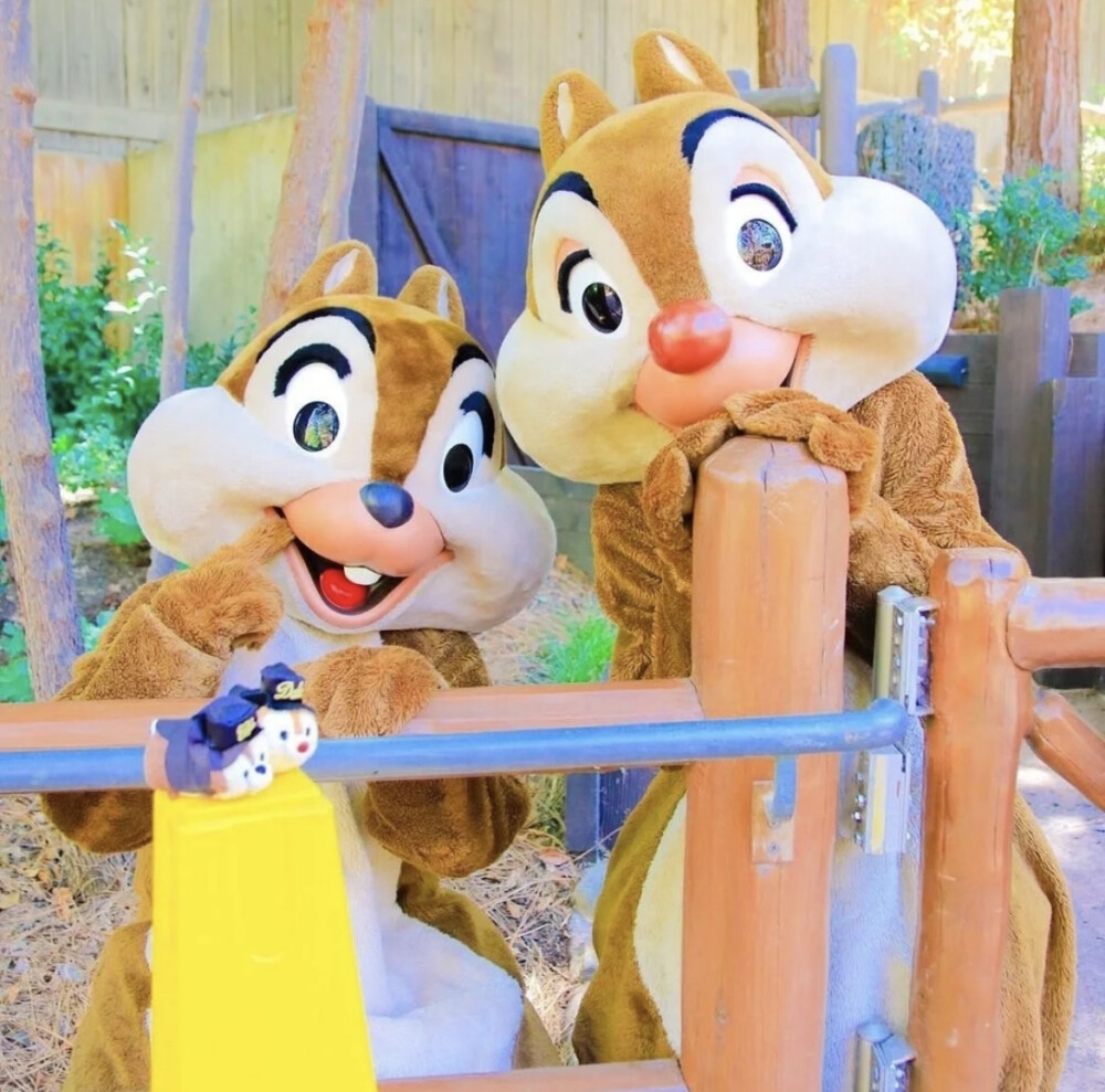 迪士尼 奇奇蒂蒂 Chip&Dale