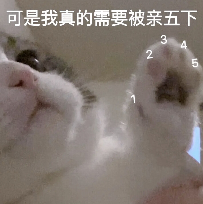 来信