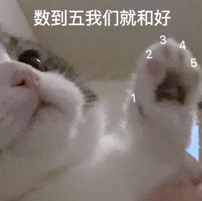 来信