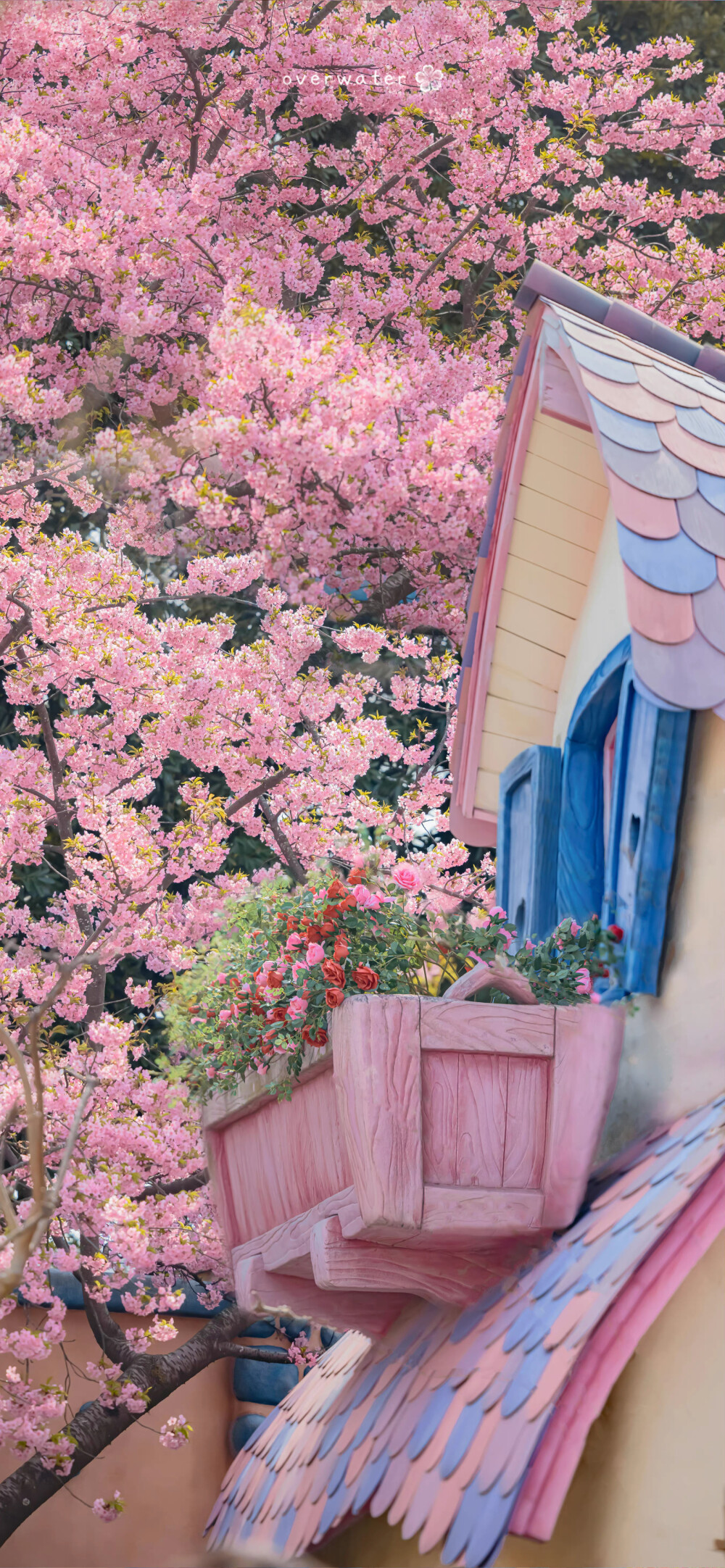 ▸迪士尼壁纸
"春天里的迪士尼"