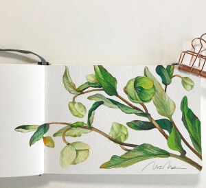 韩国画师：leegreeem