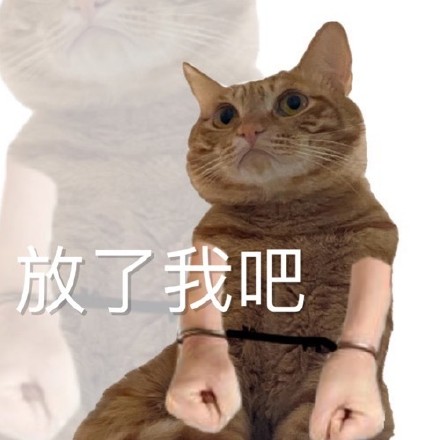 橘猫