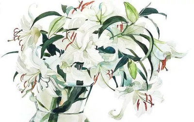 日本柘植彩子AyakoTsuge的花卉静物水彩画作品。