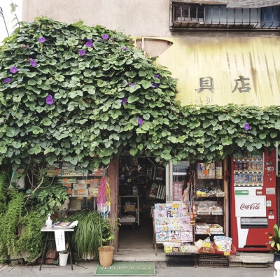 日本店面