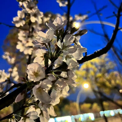 风景头像