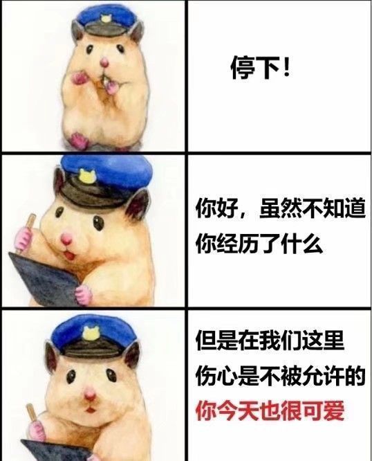 表情包