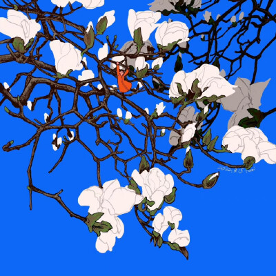 画师：トミイマサコ
twi：tomidoron ​