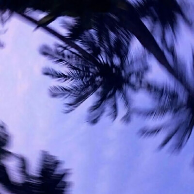 ins