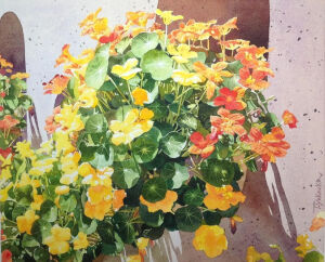 画师：1949年出生于日本香川县高松市，现居千叶县，是日本著名的水彩画家、插画家Takumi_yokookatakumi_yokooka浪漫而美好的画面，用最细腻的手法，给人展现了一种清新通透的视觉感观，给人无尽的视觉享受，如此强烈生动、清透而干净。