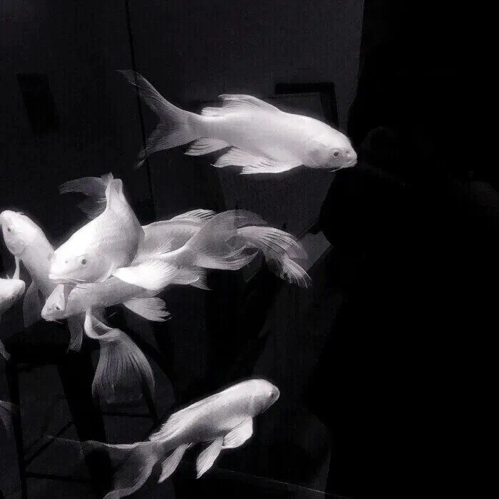 Love is4 walls‘原约课
*wenever940221