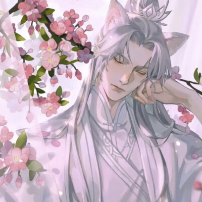 二哈和他的白猫师尊