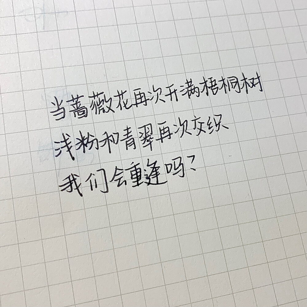 当蔷薇花再次爬满梧桐树 浅粉和青翠再次交织 我们回重逢吗 ———池竹丘