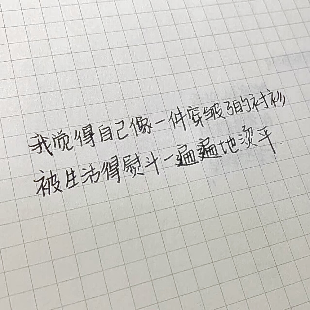 当蔷薇花再次爬满梧桐树 浅粉和青翠再次交织 我们回重逢吗 ———池竹丘