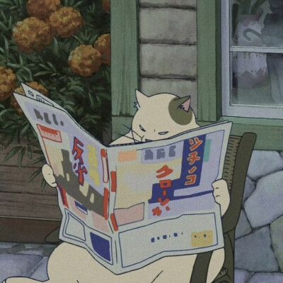 动漫头像 搞怪 猫咪
