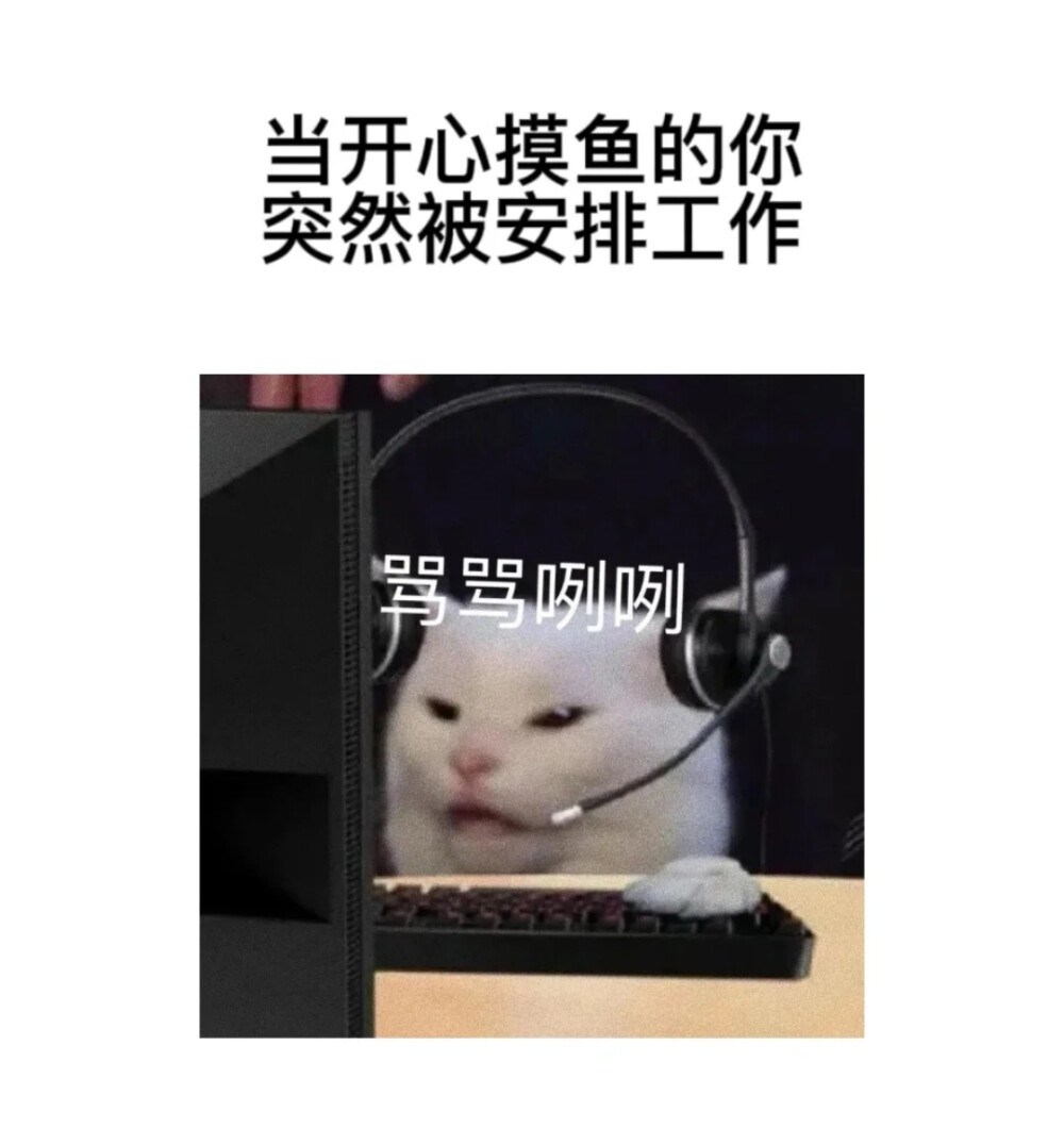 打工人表情包