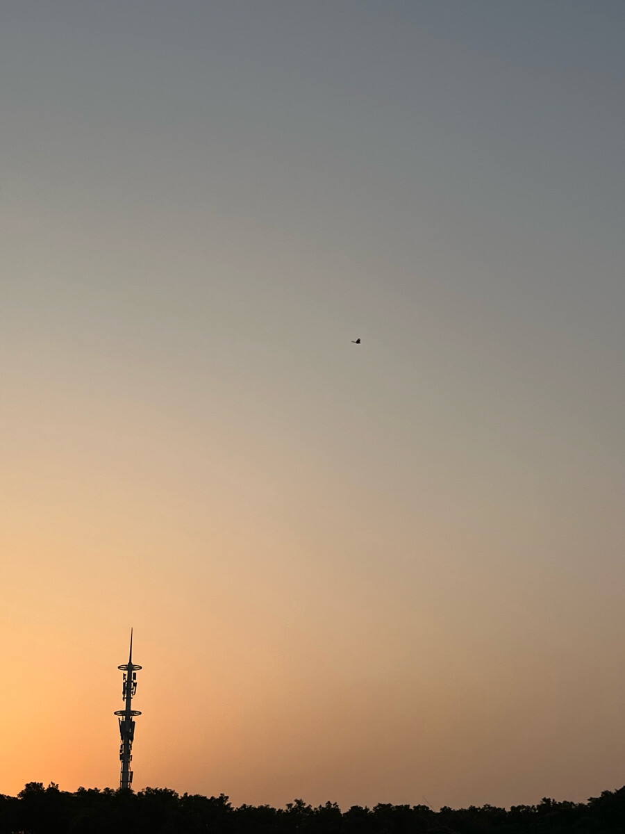 夕阳余晖，如你的羞怯似醉。