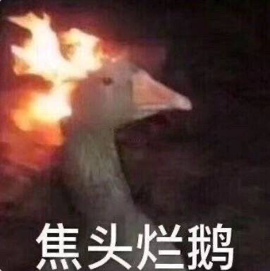 沙雕动物表情包