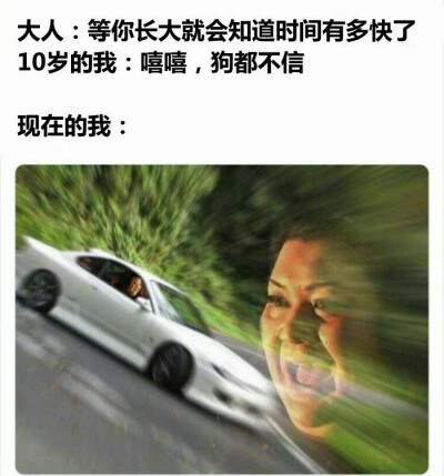 成年人现状