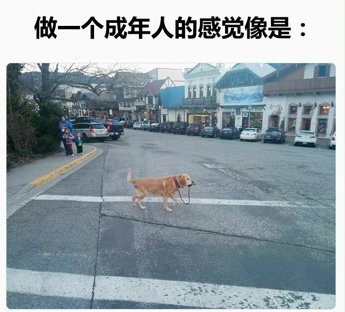 成年人现状