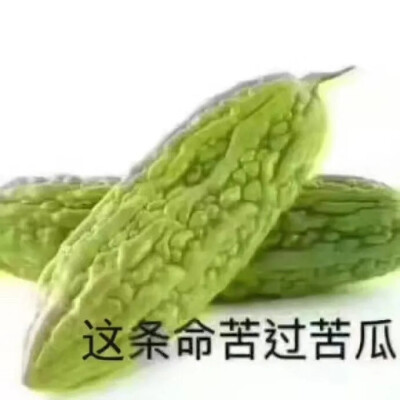 万能表情包