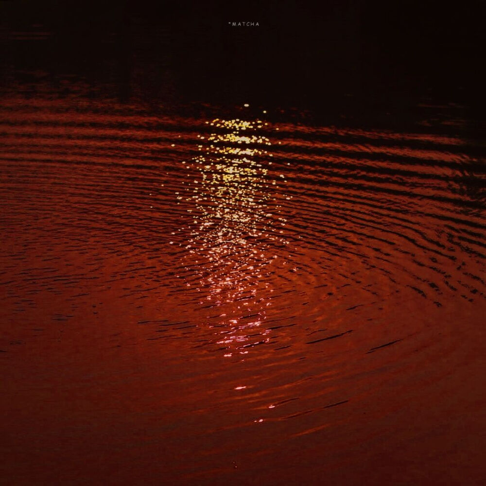 早上起床照镜子，我果然比陈献帅