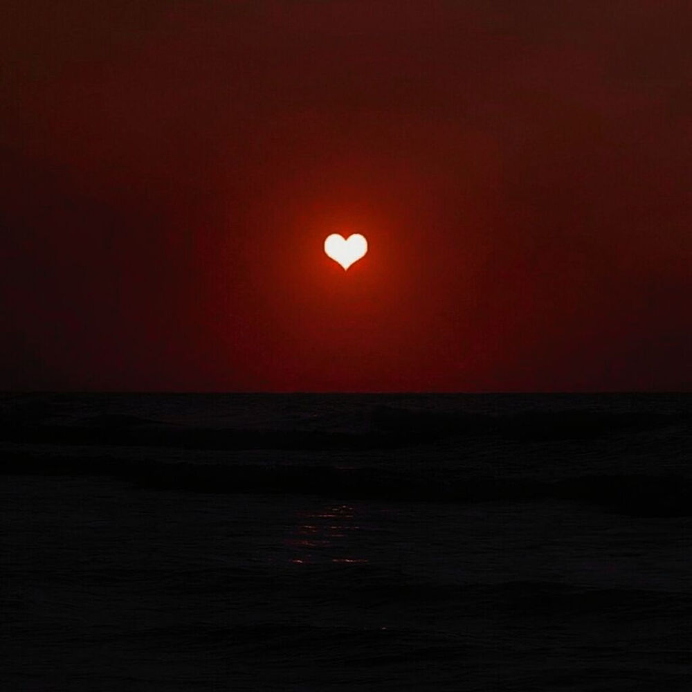 早上起床照镜子，我果然比陈献帅