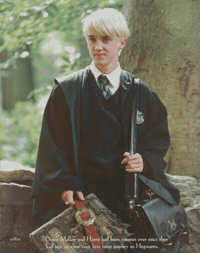 HP 德拉科·马尔福