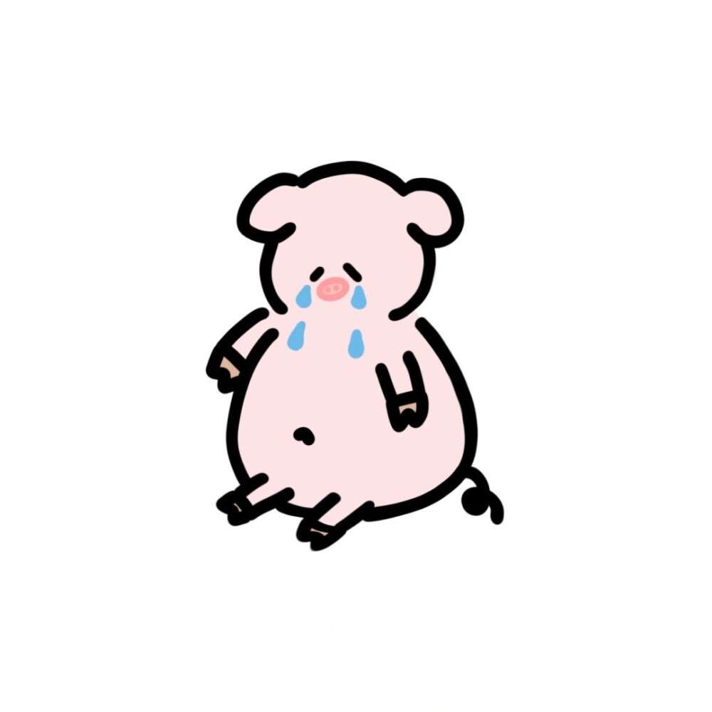 可爱头像 | 动物