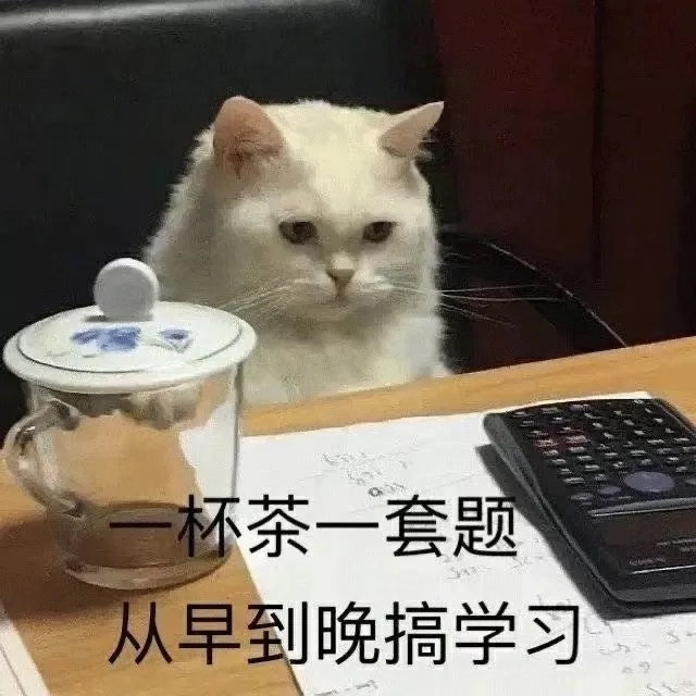 实用表情包