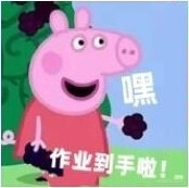 交作业表情包